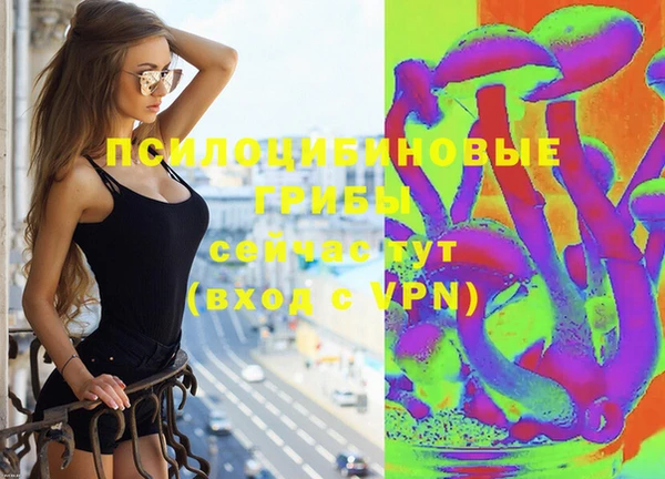 винт Баксан