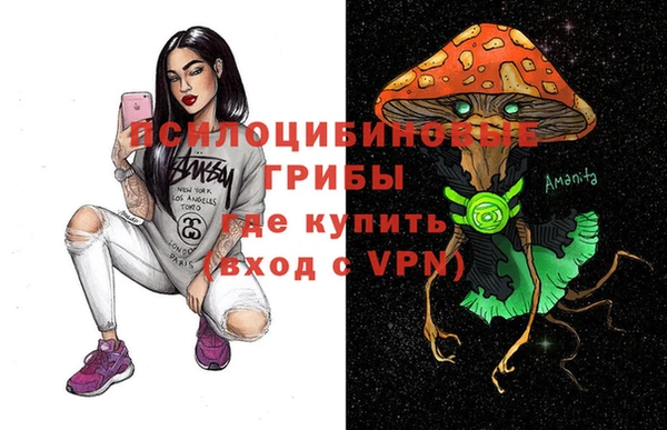 шишки Аркадак