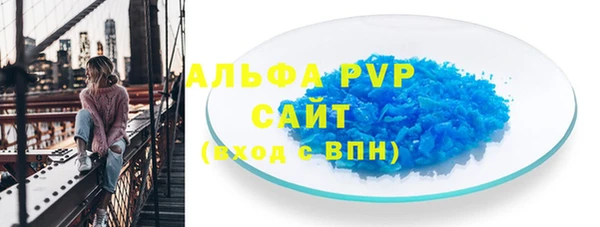 шишки Аркадак