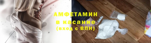 шишки Аркадак