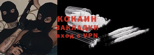 шишки Аркадак