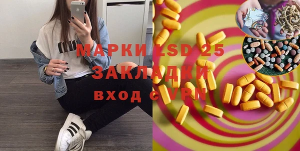 шишки Аркадак
