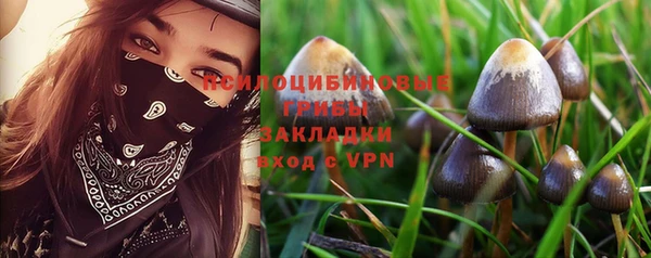 не бодяженный Армянск