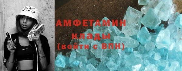 шишки Аркадак
