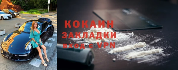 шишки Аркадак
