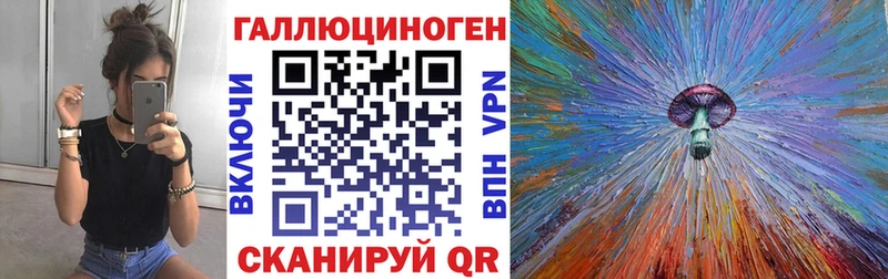 купить   Сланцы  Псилоцибиновые грибы Psilocybe 